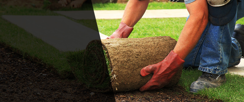 Lusby Landscapers